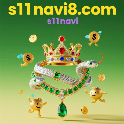 s11navi